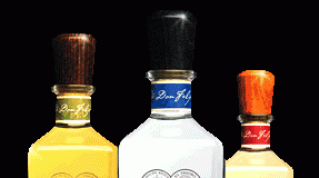 eltesoro2.gif