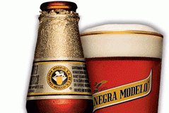 modeloespecial.gif