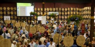 napa4.jpg