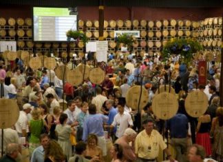 Putting the ‘fun’ in Fundraising napa4.jpg