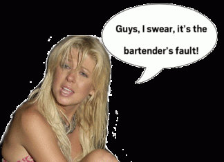 New Hampshire Serving Law tarareid.gif