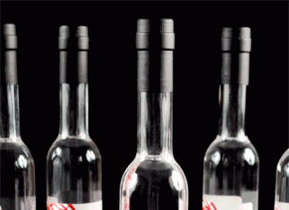 sono_rinata_long_island_spirits.gif