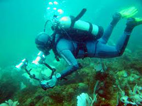 A New Way To Store Your Wine deepseadiver.jpg