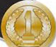 goldmedal.jpg