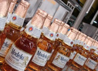 modelo.jpg