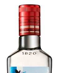 Beefeater Launches Winter Gin beefeaterwinter.jpg