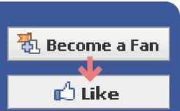 facebooklikes.jpg