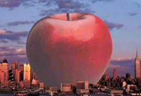 bigapple1.jpg