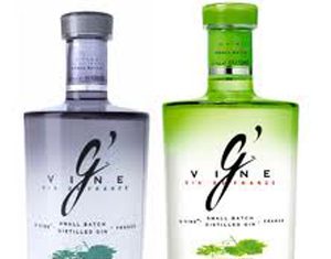 G’Vine Hosts 2nd Annual Gin Connoisseur Program 2011 gvine.jpg