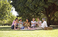 wineinthepark.jpg