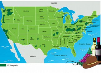 United States Is World’s Largest Wine-Consuming Nation wineinusa.jpg
