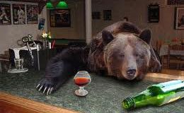 bearatbar.jpg