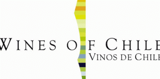 Passport to Chile