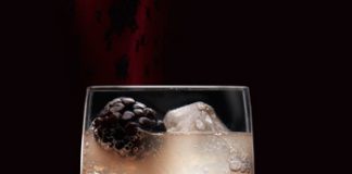 Brockmans Gin Breaks Barriers https://www.barbizmag.com/images/new/tomcollins.jpg