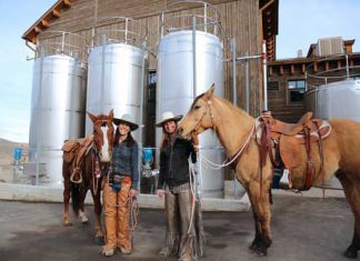 Ranch Distillery Opens https://www.barbizmag.com/images/new/horses.jpg