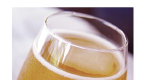 Beer Cocktails for Summer Sipping https://www.barbizmag.com/images/new/beer2.jpg