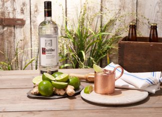 Belated National Vodka Day Recipes mule3