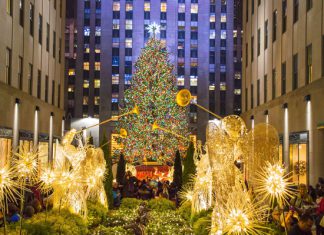 Great Things Big & Small From Gardiner, NY tree
