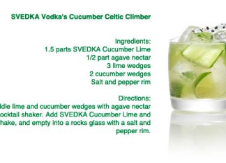 Take a Bite out of St. Paddy’s Day CelticClimber