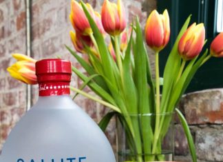 Patriotic Mule