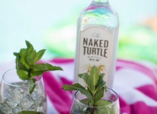 Naked Mojito
