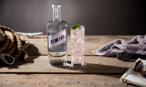 Bimini Gin from Round Turn Distilling
