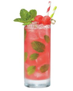 watermelon mojito