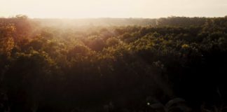 Fever Tree Tonic Video