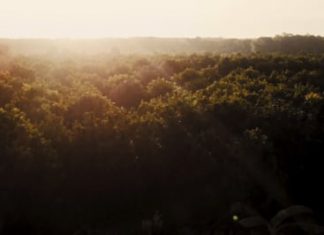 Introducing Fever-Tree’s New Aromatic Tonic Fever Tree Tonic Video