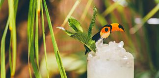 Barceló Añejo Chin Chin Cocktail Recipe