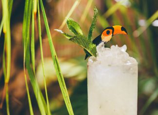 Barceló Añejo Chin Chin Cocktail Recipe