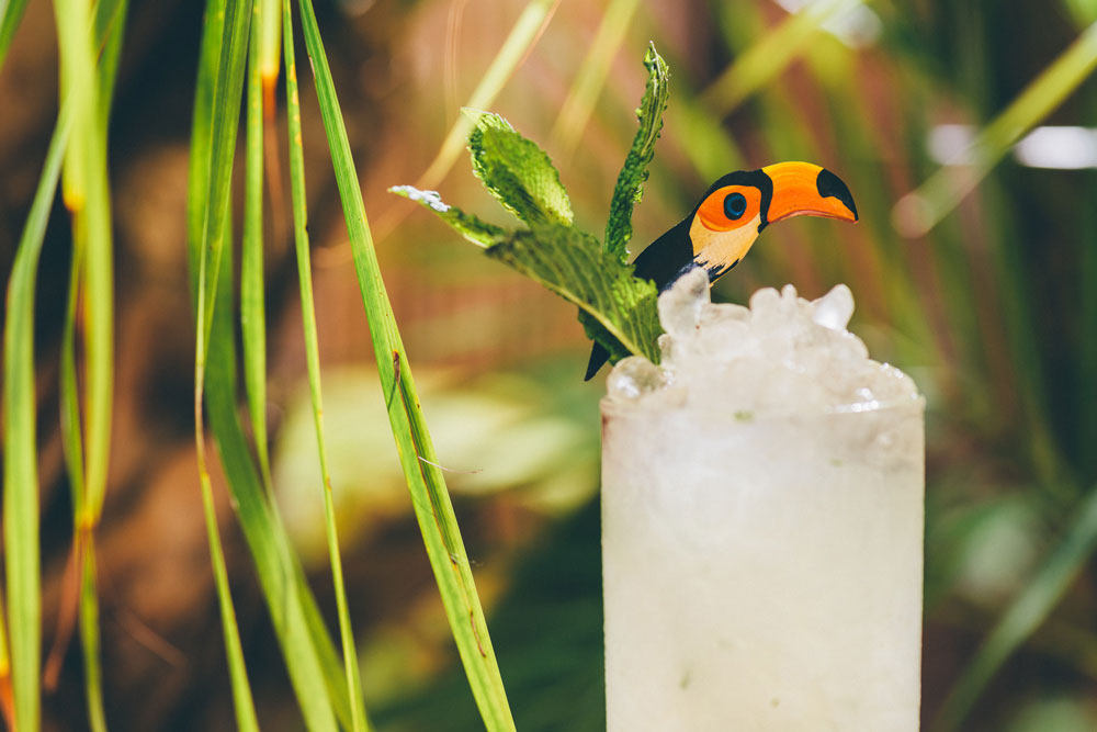 Barceló Añejo Chin Chin Cocktail Recipe 