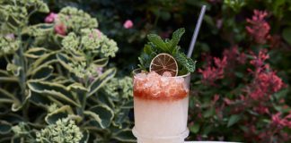 Patrón Mexican Muay Thai Cocktail Recipe