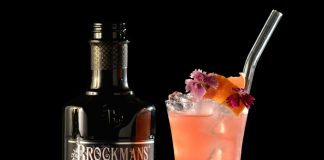 Brockmans Gin's Berry Breeze Cocktail Recipe