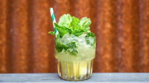 Seagram's Watermelon Smash Cocktail Recipe