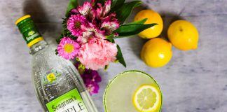Seagram's Apple Lemon Drop Cocktail Recipe