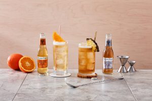 Fever-Tree Mixers Ginger Expressions