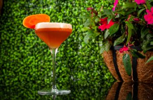 Ron Barceló's El Conejo Bueno cocktail recipe