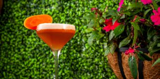 Ron Barceló's El Conejo Bueno cocktail recipe