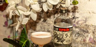 Espolòn Tequila Basic Beach Cocktail Recipe