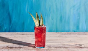 Milagro Tepa Highball Cocktail Recipe