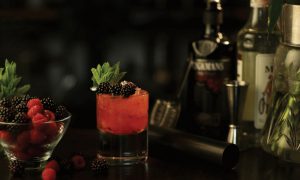 Brockmans Gin Summer Punch Cocktail Recipe