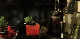 Brockmans Gin Summer Punch Cocktail Recipe