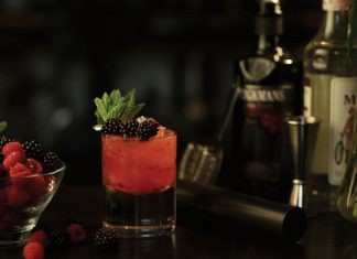 Brockmans Gin Summer Punch Cocktail Recipe