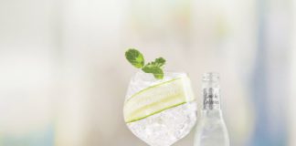 Fever-Tree Refreshingly Light Cucumber Tonic