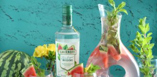 Smirnoff Vodka Mint Summer Splash Cocktail Recipe