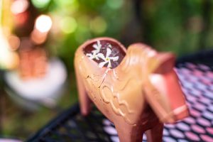 Absolut Elyx Jasmine cocktail recipe