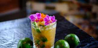 Novo Fogo Cachaça Caipirinha Da Terra cocktail recipe