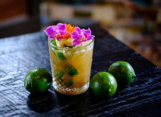 Caipirinha Da Terra Novo Fogo Cachaça Caipirinha Da Terra cocktail recipe