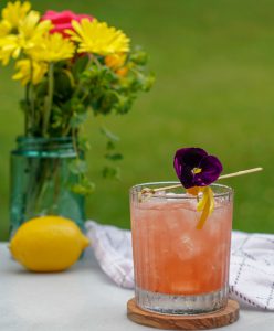 Zaya Rum Rum Daisy Cocktail Recipe
